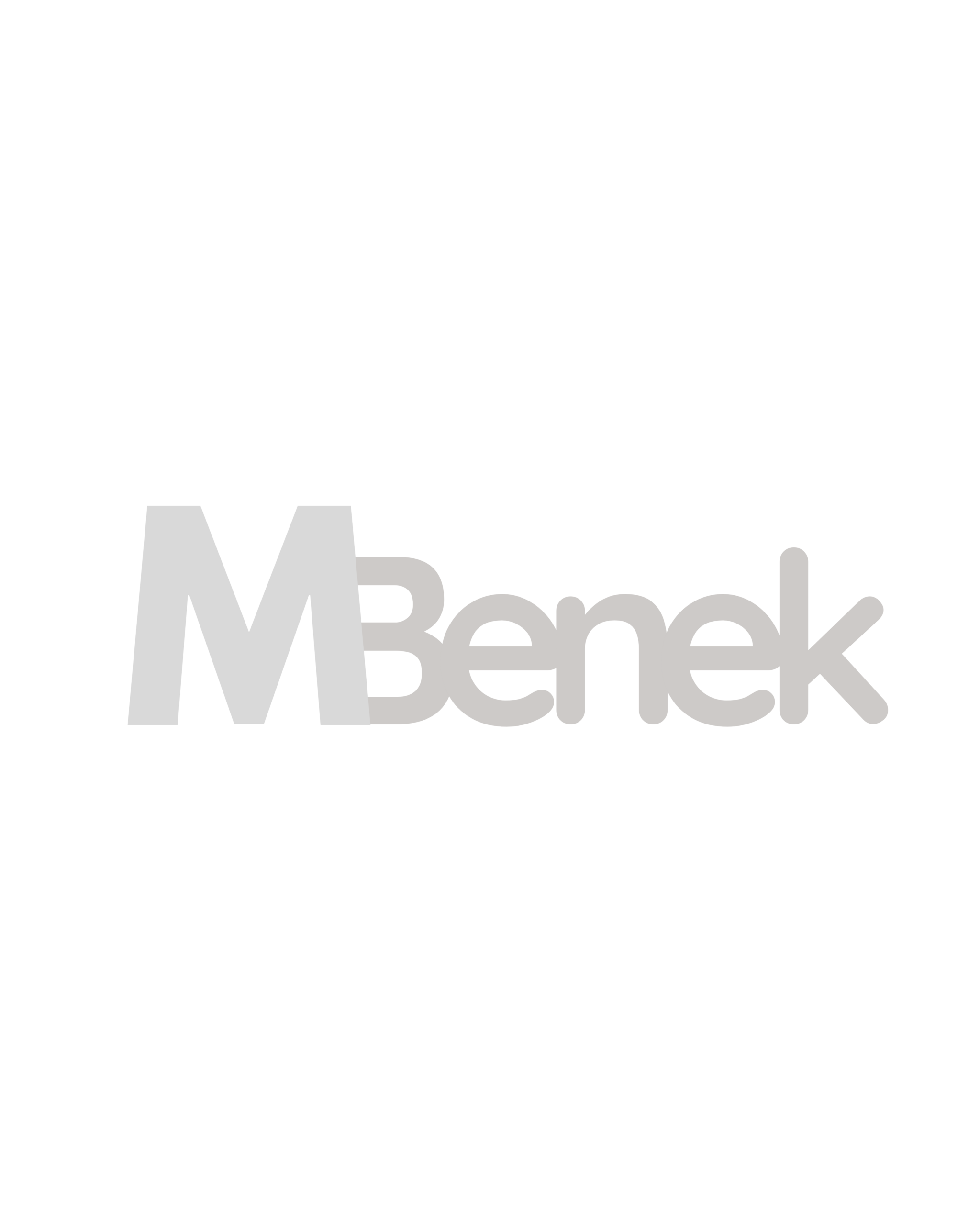 MATHEUS BENEK ROCHA